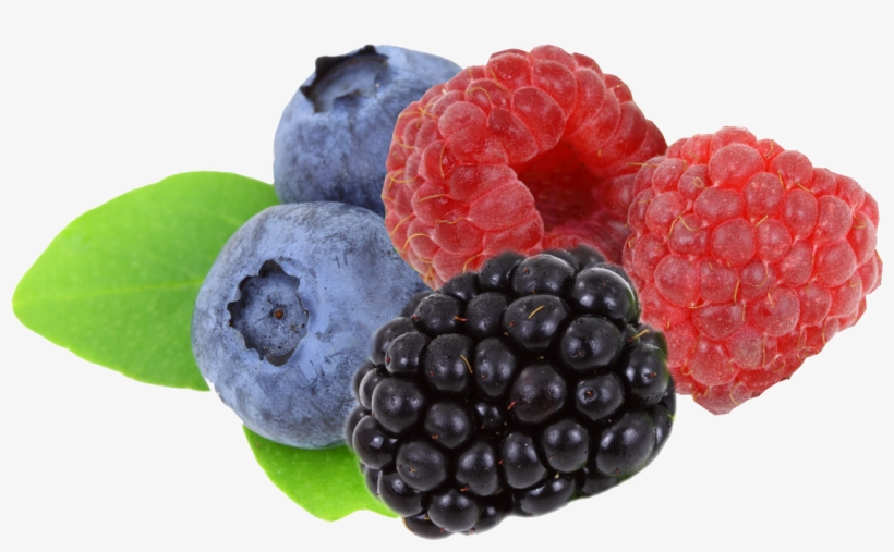 Go To Image - Blueberries 5'x7'area Rug, transparent png #4347385