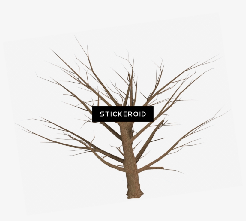 Dead Tree Empty Branches - Illustration, transparent png #4347699