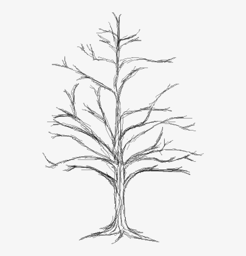 Dead Tree - Tree, transparent png #4347735