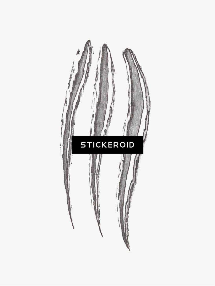 Claw Scratches Scratch - Sketch, transparent png #4347831