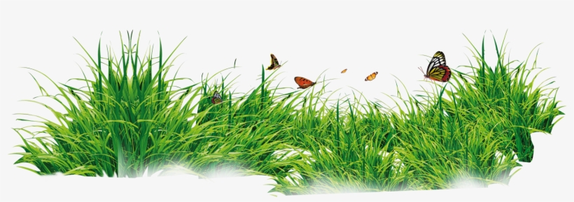 Grass With Flower Background Png Download - Png Format Grass Png, transparent png #4348040