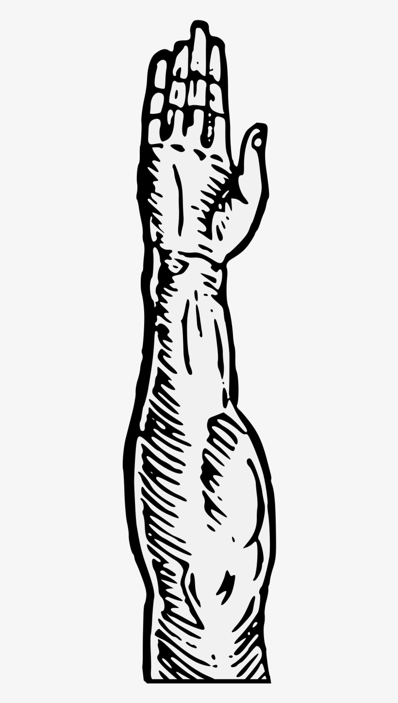 Arm Couped, transparent png #4349093