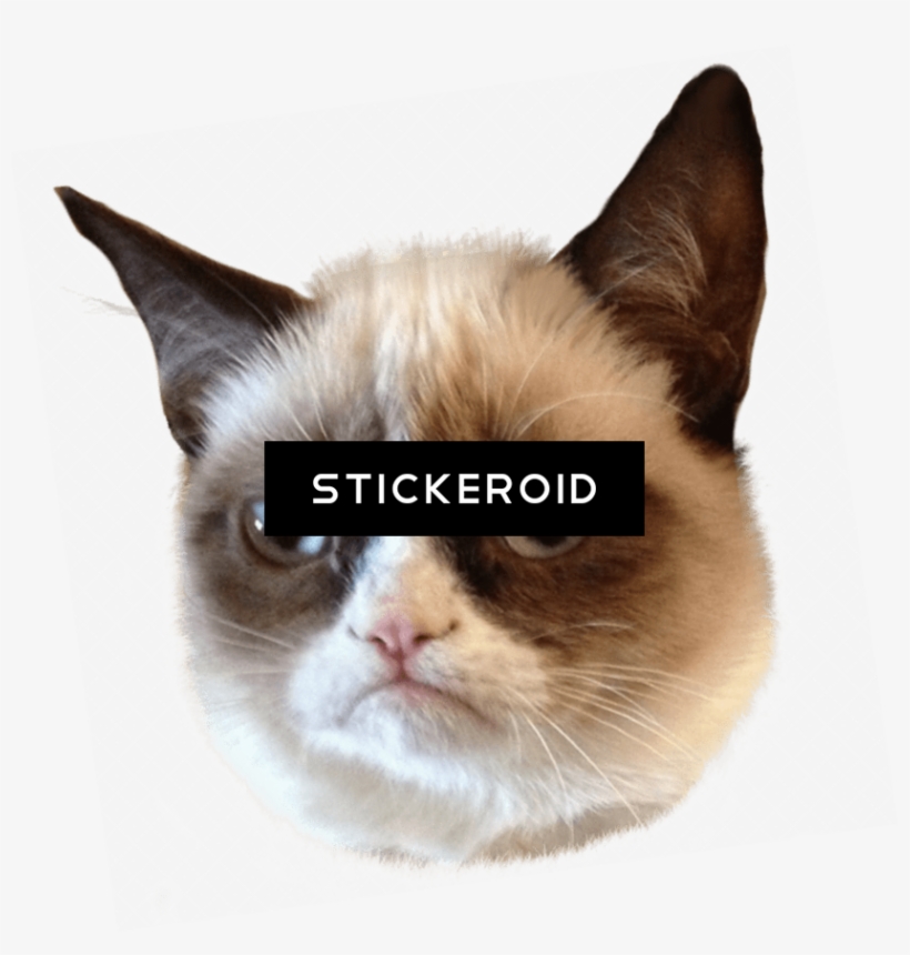 Grumpy Cat Head - Wasn T The Cough That Carried Him Off, transparent png #4351484