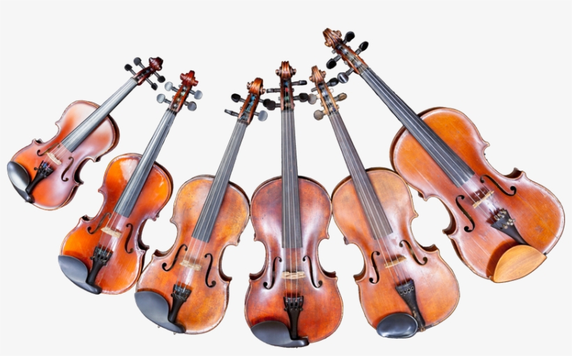 Classical Violins' Sizes - Размеры Скрипок, transparent png #4351516