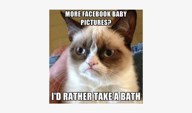Grumpy-cat - Stop Posting Photos Of Your Baby, transparent png #4351662