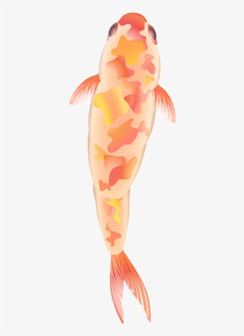 Fish-dia10, transparent png #4352230