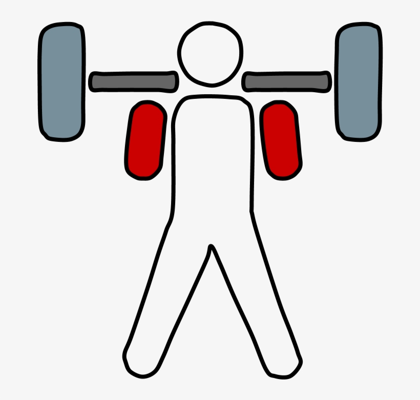Weightlifter, Barbell, transparent png #4352922
