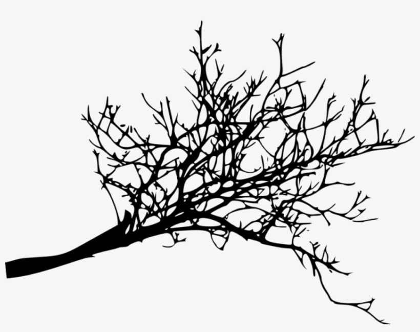 Free Png Tree Branches Silhouette Png Images Transparent - Dead Tree Branch Png, transparent png #4353125