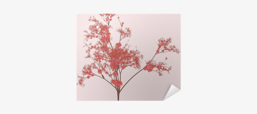 Cherry Blossom Tree, transparent png #4353360