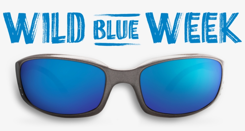 Costa's Wild Blue Week - Thanksgiving, transparent png #4354166