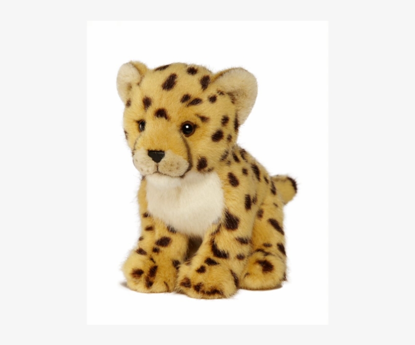 Cheetah - Wwf-canada, transparent png #4354572