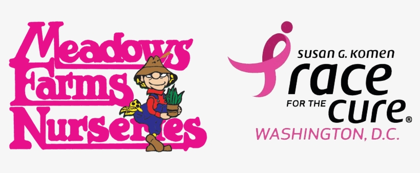 Pink Day - Komen Race For The Cure, transparent png #4355031