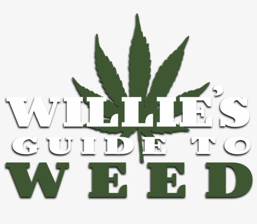 Williesguide 2 - Portable Network Graphics, transparent png #4355035
