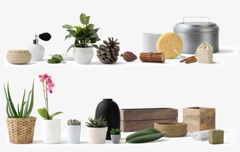 Potted Planting Png Transparent Decoratives - Acure Organics Brightening Facial Scrub Sea Kelp+ Chlorella, transparent png #4355070