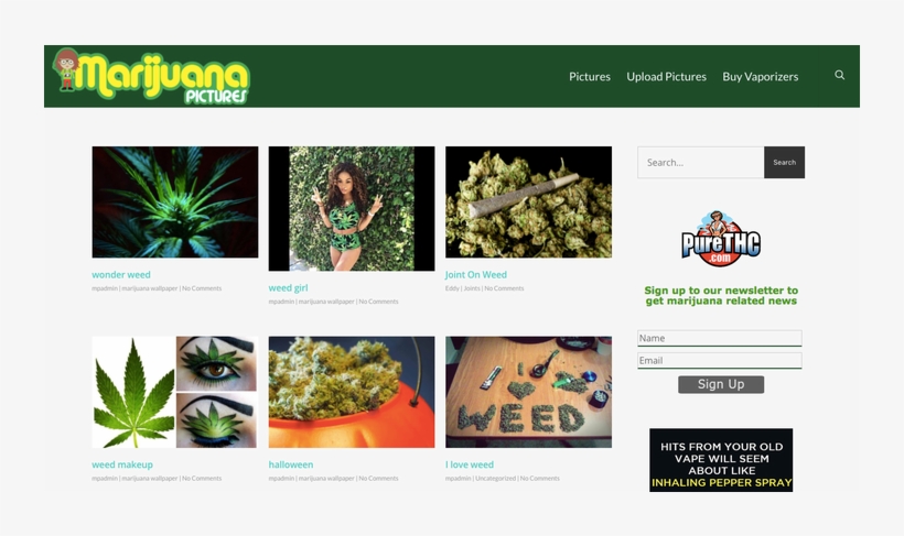 Previous - Pure Thc, transparent png #4355103