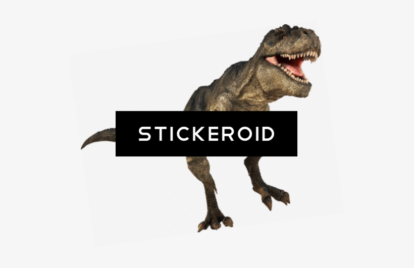 T-rex - Nhm Shop Museum T. Rex Melamine Plate, transparent png #4356174