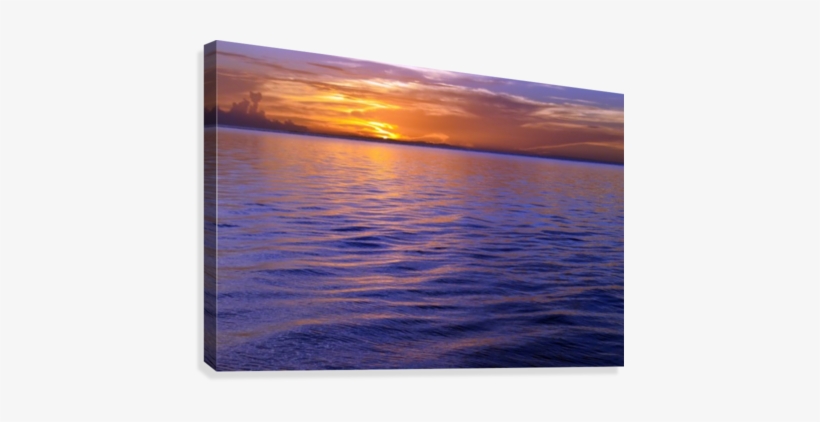 Savannah, transparent png #4356207