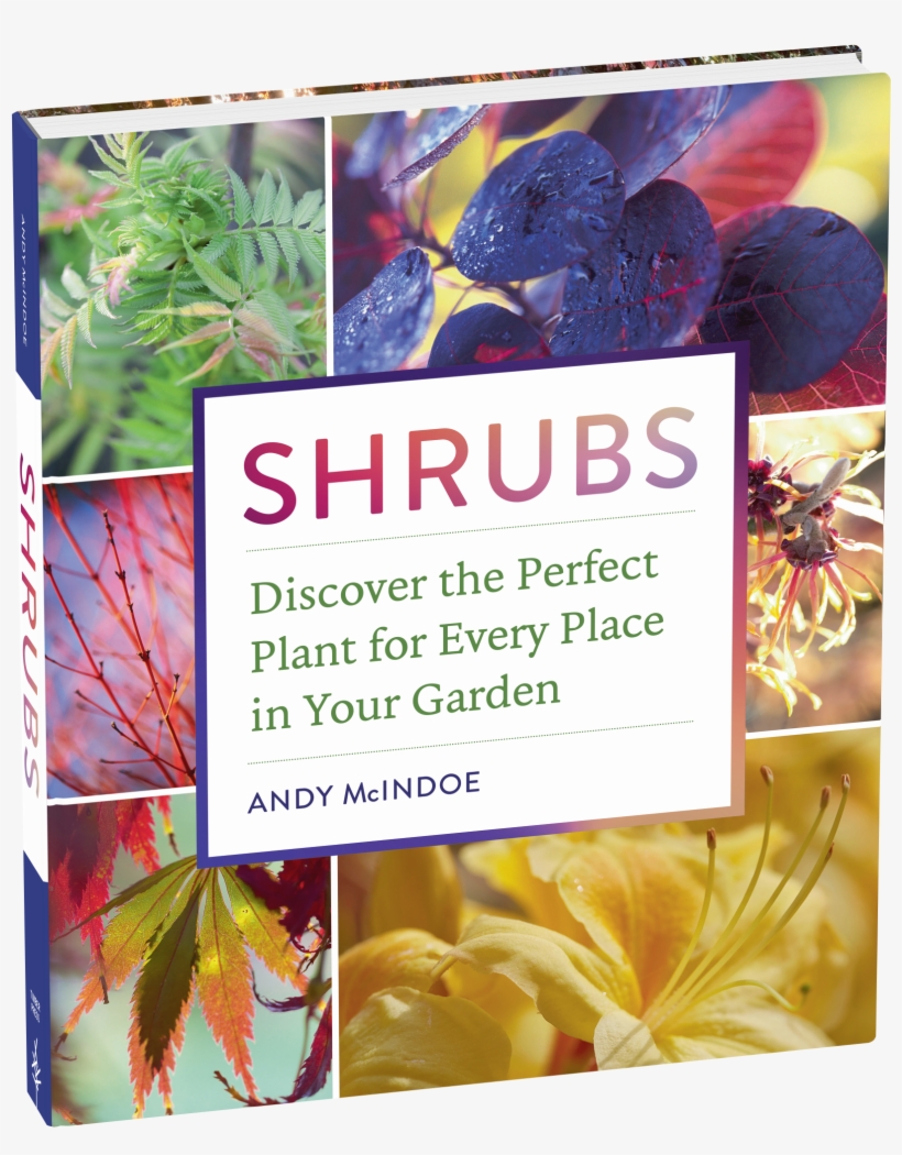 Cover - Shrubs: Discover The Perfect Plant For Every Place, transparent png #4356651