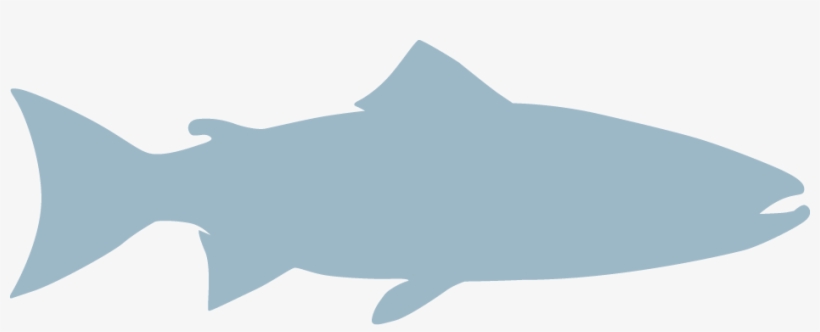 Atlantic Salmon - Grand Haven, transparent png #4358050