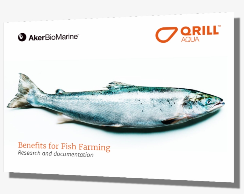 Fish Booklet - Fish, transparent png #4358563