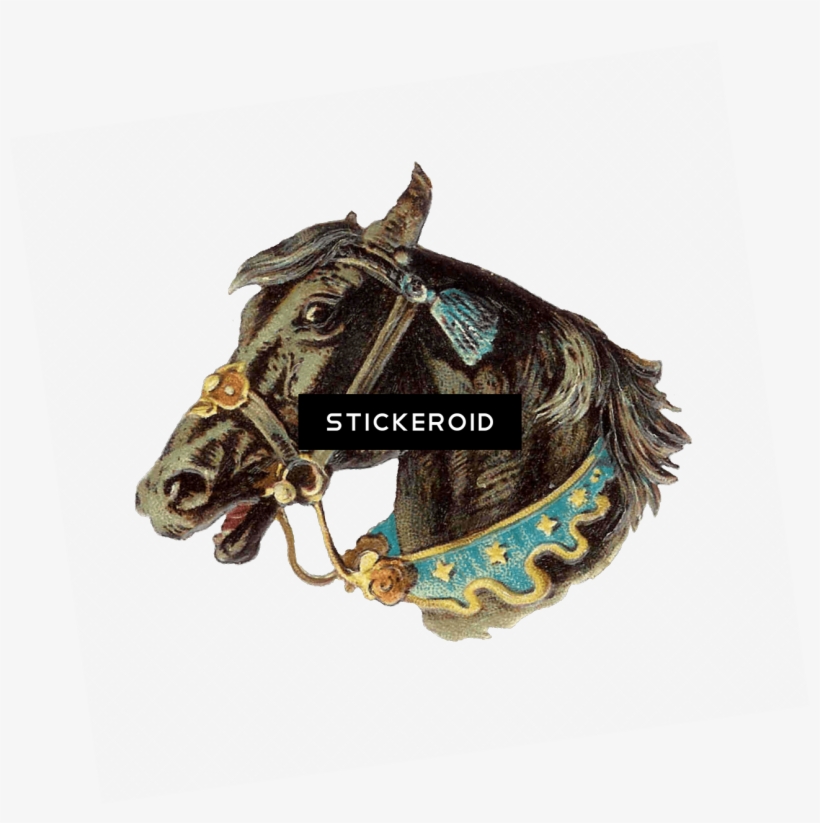 Vintage Horse Head - Horse, transparent png #4359062