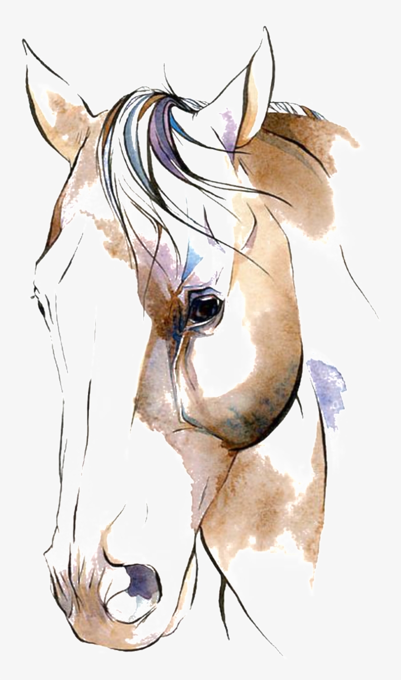 Hand Drawn Horse Avatar Png - Watercolor Horse Clip Art, transparent png #4359239