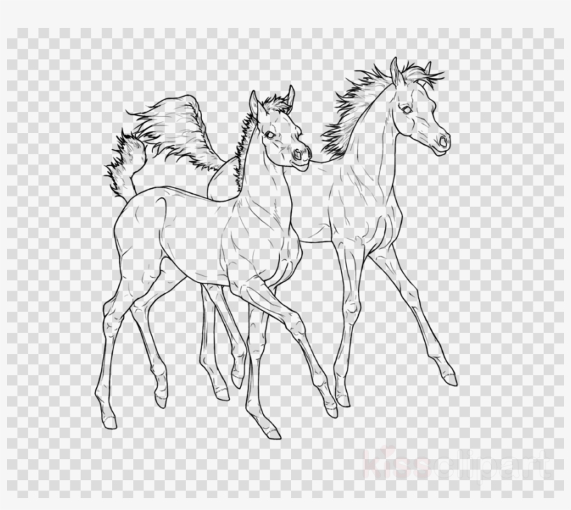 Arabian Horse Clipart Foal Pony Mustang - Arabian Horse, transparent png #4359262