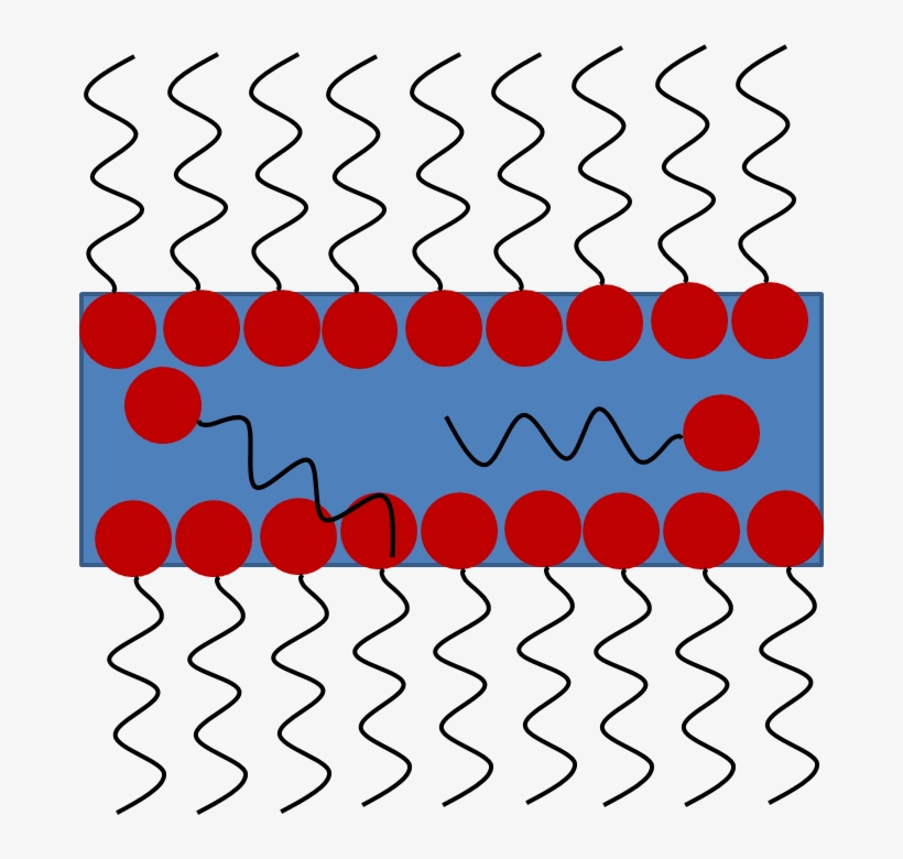 Soap Film, transparent png #4359588