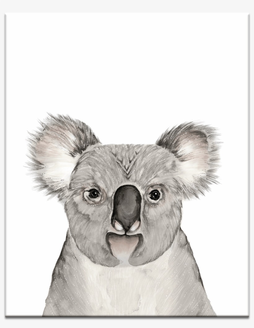 Canvas, transparent png #4360348