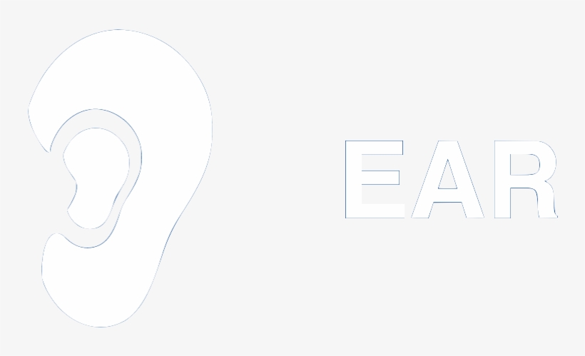 Florida Ear & Sinus Center, transparent png #4360727