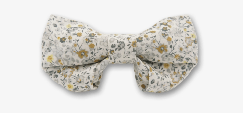 Paisley, transparent png #4361374