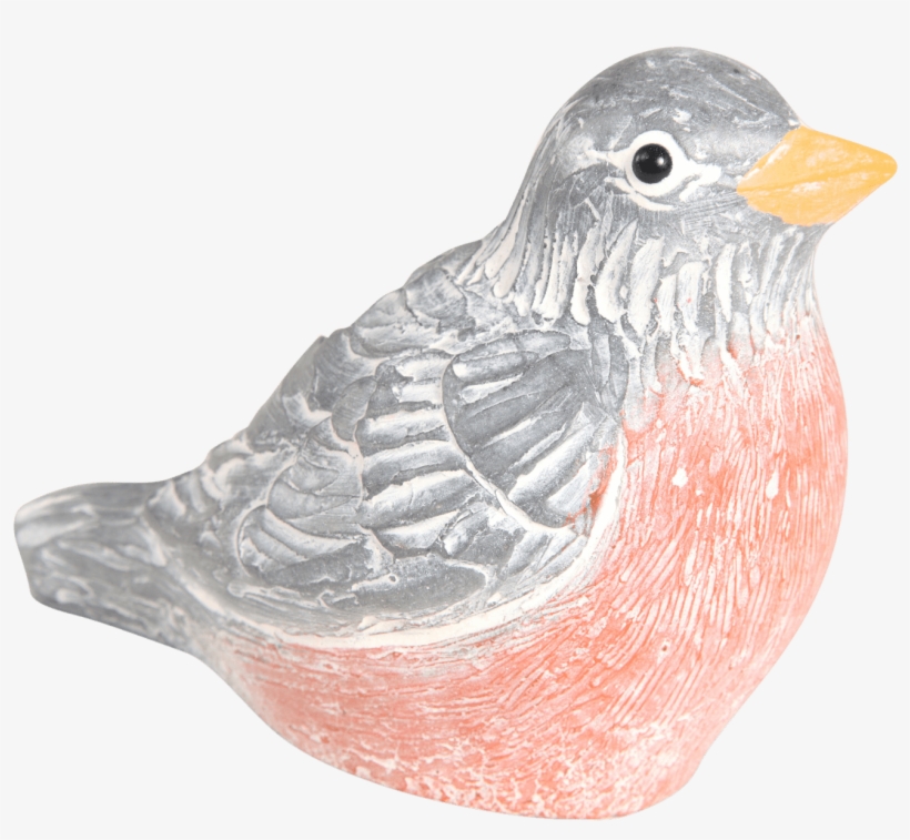 Robin - European Robin, transparent png #4362514