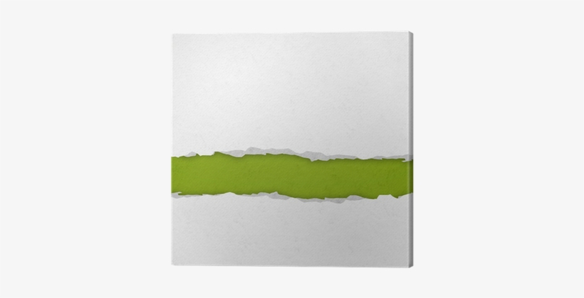 Grass, transparent png #4362815