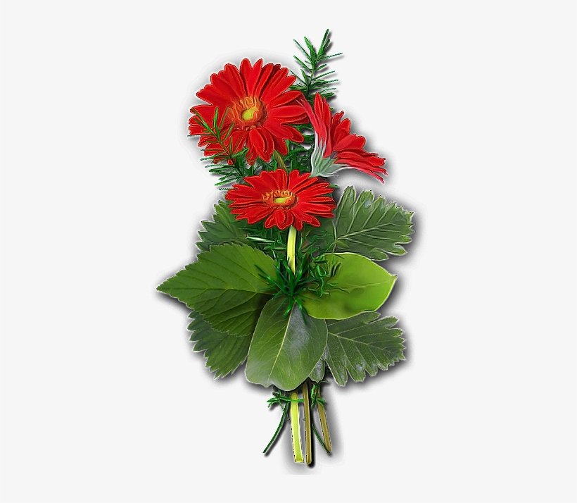 Flores Png - Cactus, transparent png #4362944