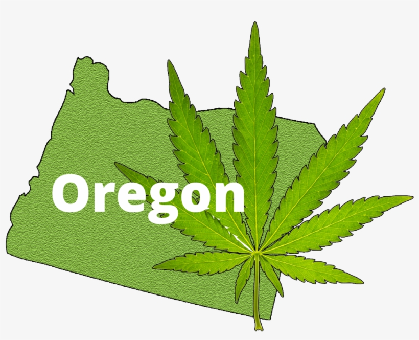 Image Result For Oregon Marijuana - Oregon Marijuana, transparent png #4364380