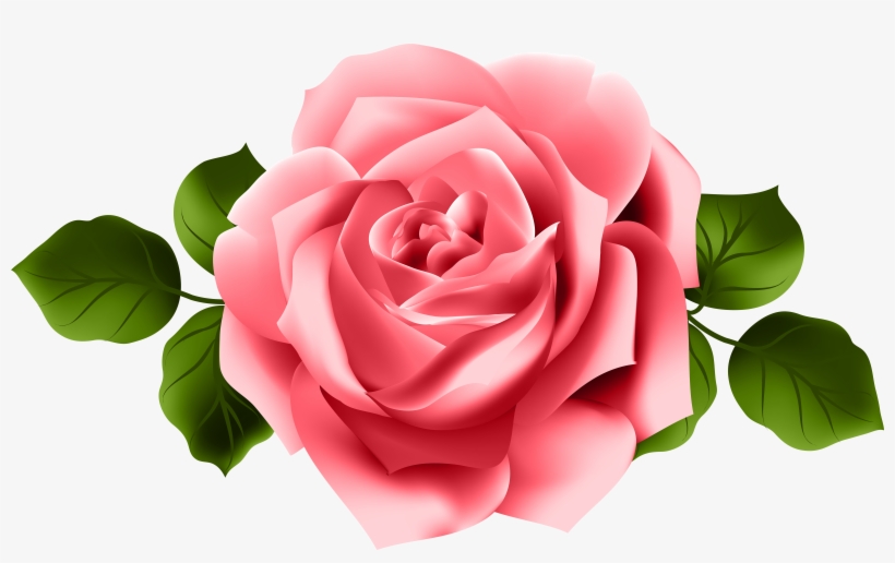 Go To Image - Pink Red Roses Png, transparent png #4364381