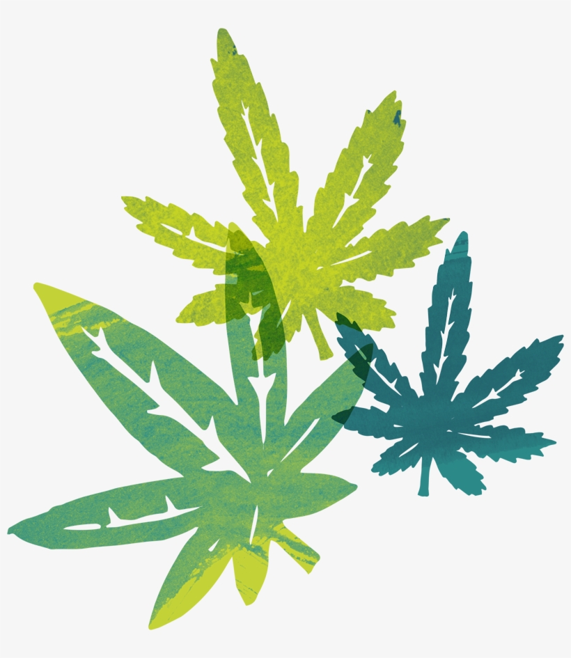 Who We Are - Illustration, transparent png #4364385