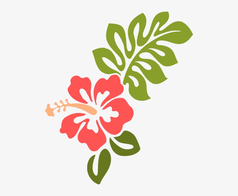 Hibiscus - Hibiscus Clip Art, transparent png #4364515