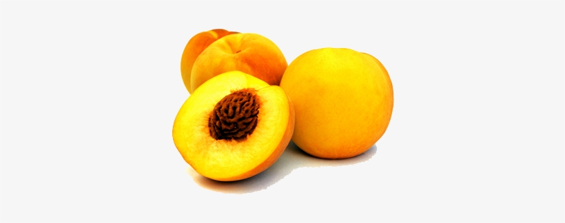 Peach - Clingstone Peach, transparent png #4365244