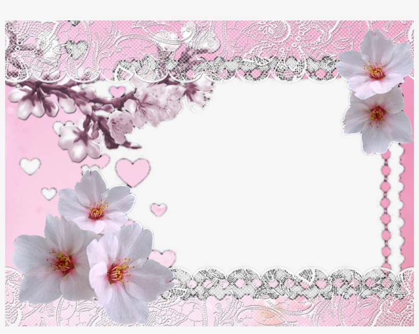Peach Blossom Border - Photograph, transparent png #4365666