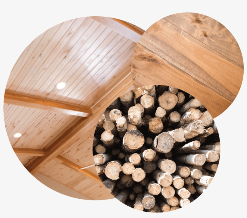 Aspen Wall Wood, transparent png #4366208