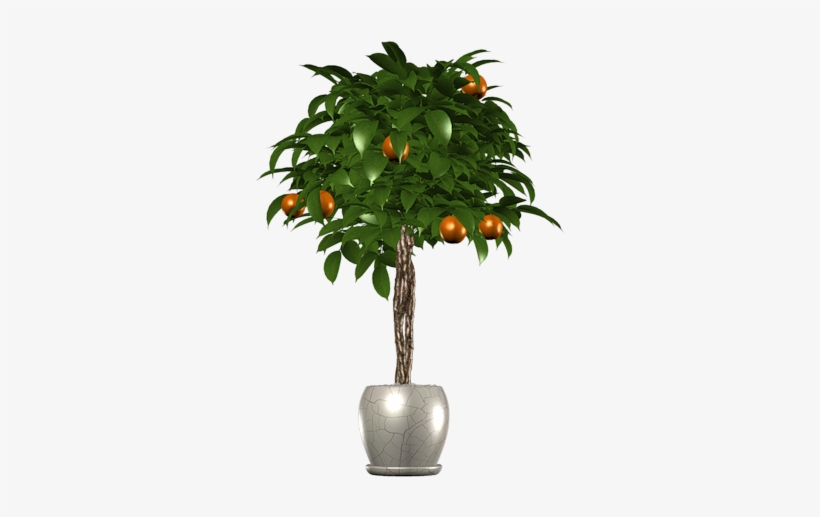 Tree In Pot - Peach, transparent png #4366284