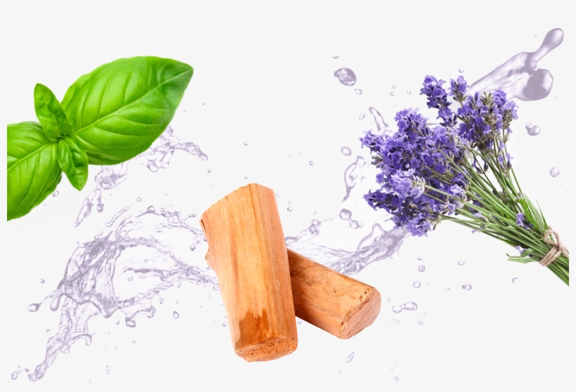 Created With Sketch - Rose Water Facial Toner Spray - 100% Natural Astringent, transparent png #4366800