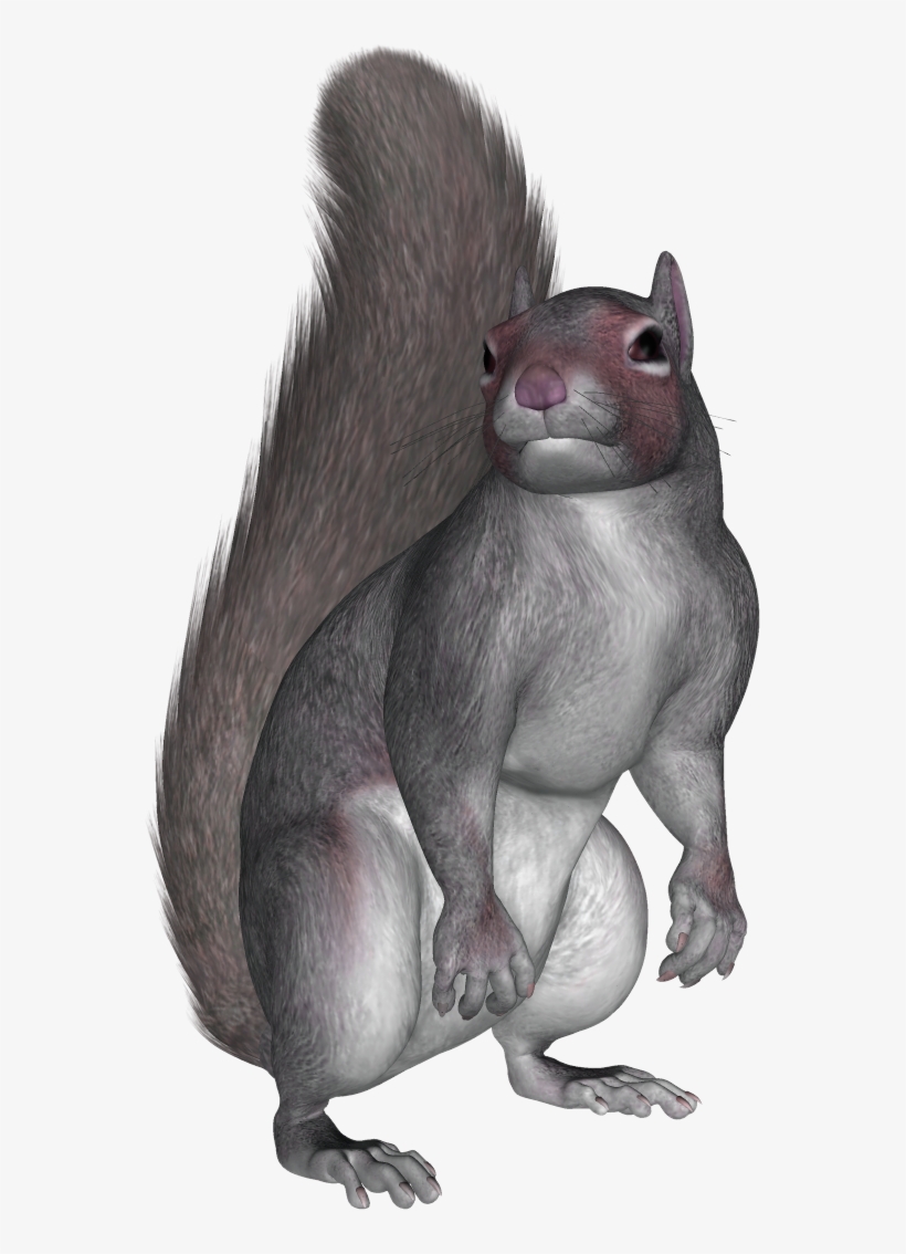 Download For Free Squirrel Png In High Resolution - Sitting Squirrels, transparent png #4366801