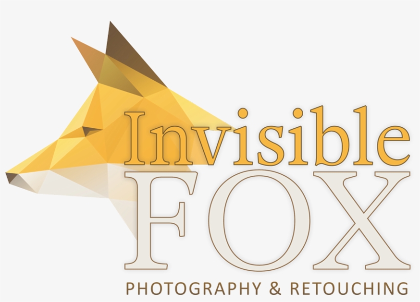 Invisible Fox - Photography, transparent png #4366959
