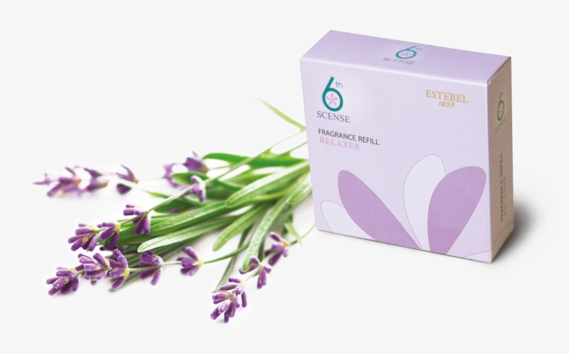 Refill-lavender - Iduna Bedtime Natural Sleep Aid With Essential Oil, transparent png #4367100