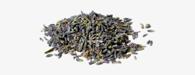 Lavender - Lavender Flowers Whole 1 Lb, transparent png #4367159