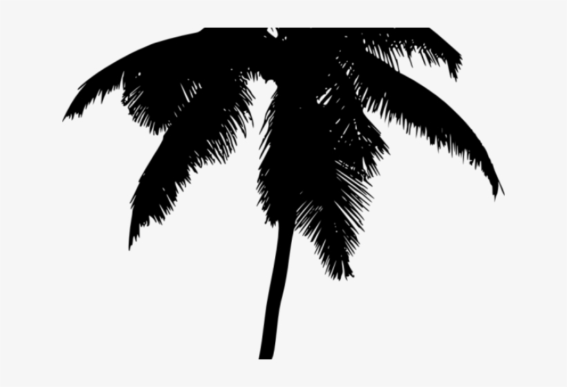 Palm Tree Silhouette Png - Palma De Cera Vector, transparent png #4367209