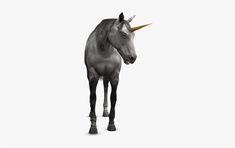 Requeriments - Stallion, transparent png #4368245