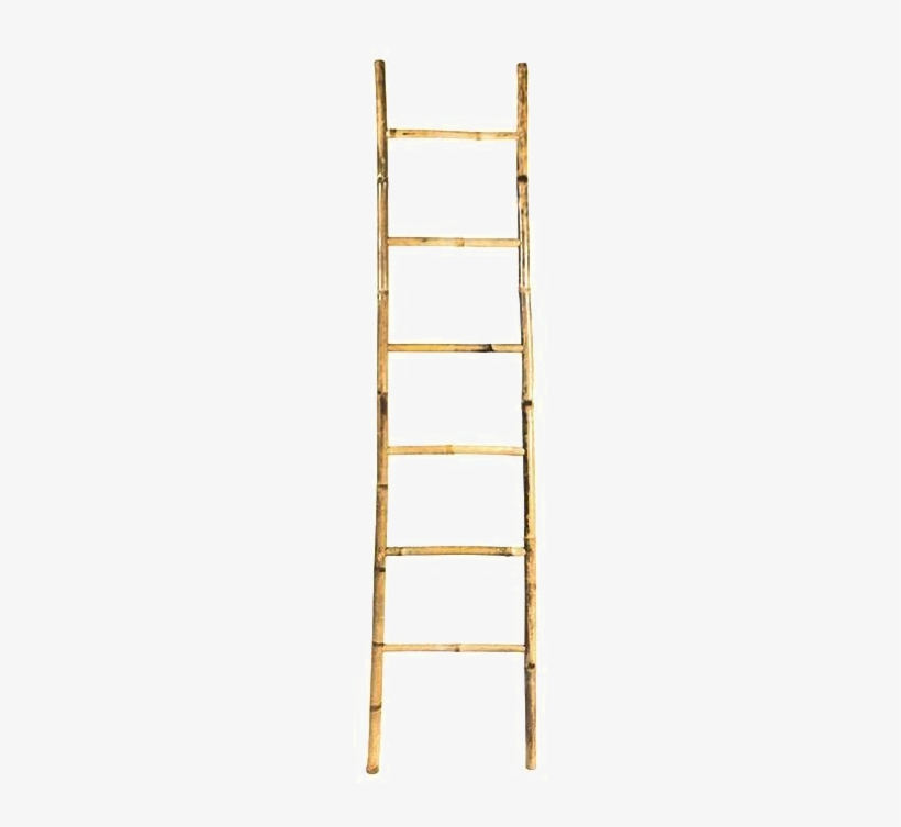 Step Ladder Png Image With Transparent Background - Cartoon Transparent  Background Ladders Transparent - Free Transparent PNG Download - PNGkey